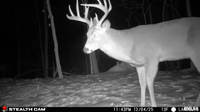 $1,347,500 | 0 Eldred Road, Fieldon, IL 62031