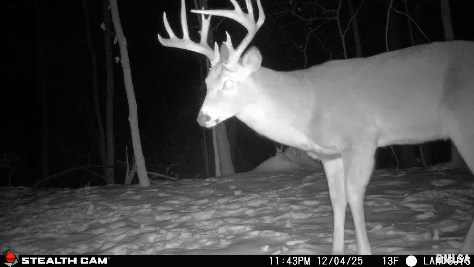 0 Eldred Road Fieldon, IL 62031 - Photo 61 of 76