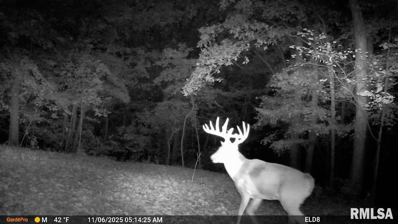 0 Eldred Road Fieldon, IL 62031 - Photo 62 of 76