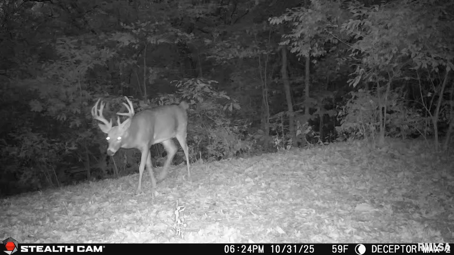 0 Eldred Road Fieldon, IL 62031 - Photo 63 of 76