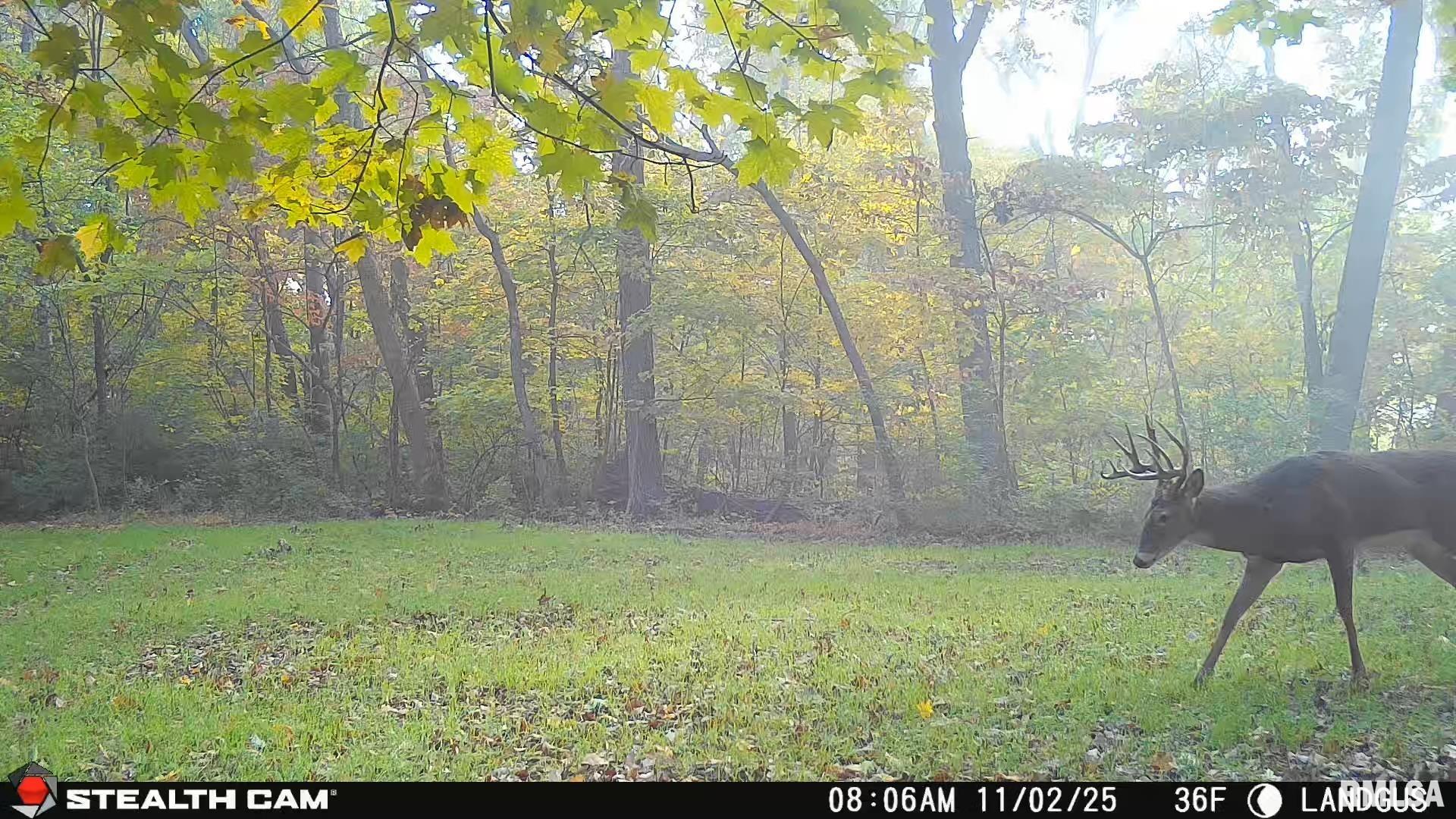 0 Eldred Road Fieldon, IL 62031 - Photo 64 of 76