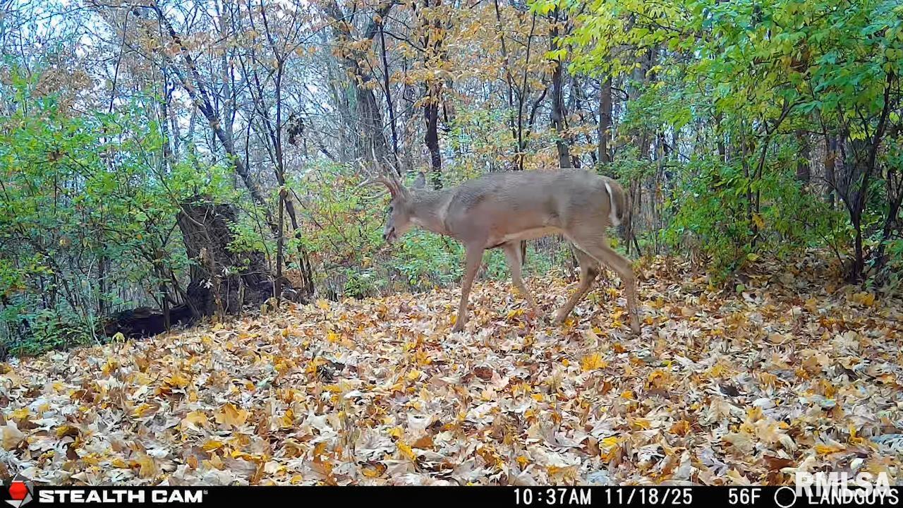 0 Eldred Road Fieldon, IL 62031 - Photo 65 of 76