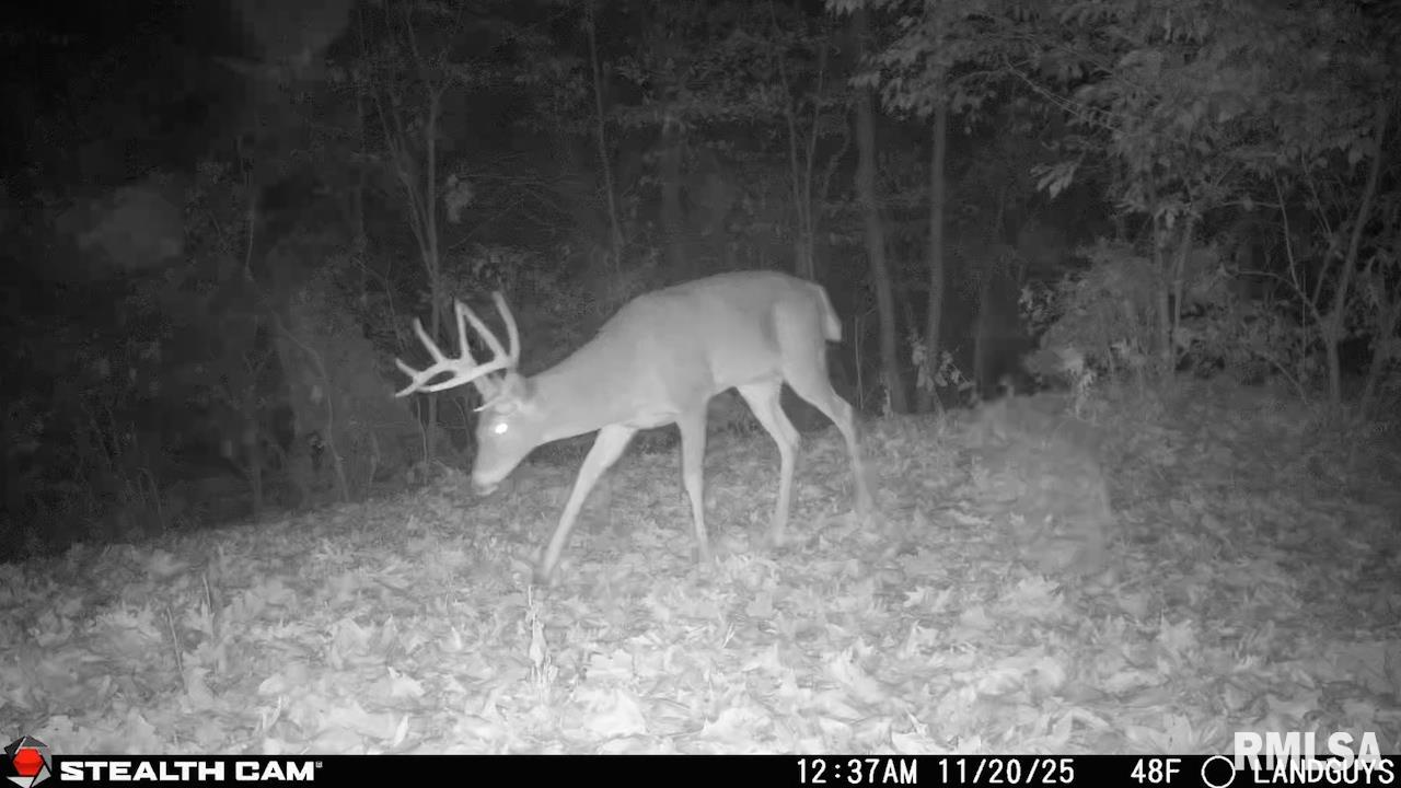 0 Eldred Road Fieldon, IL 62031 - Photo 66 of 76