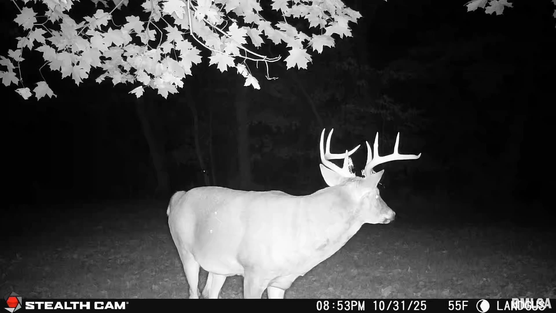 0 Eldred Road Fieldon, IL 62031 - Photo 67 of 76