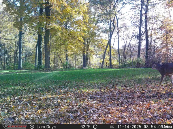 $1,274,000 | 0 Eldred Road, Fieldon, IL 62031