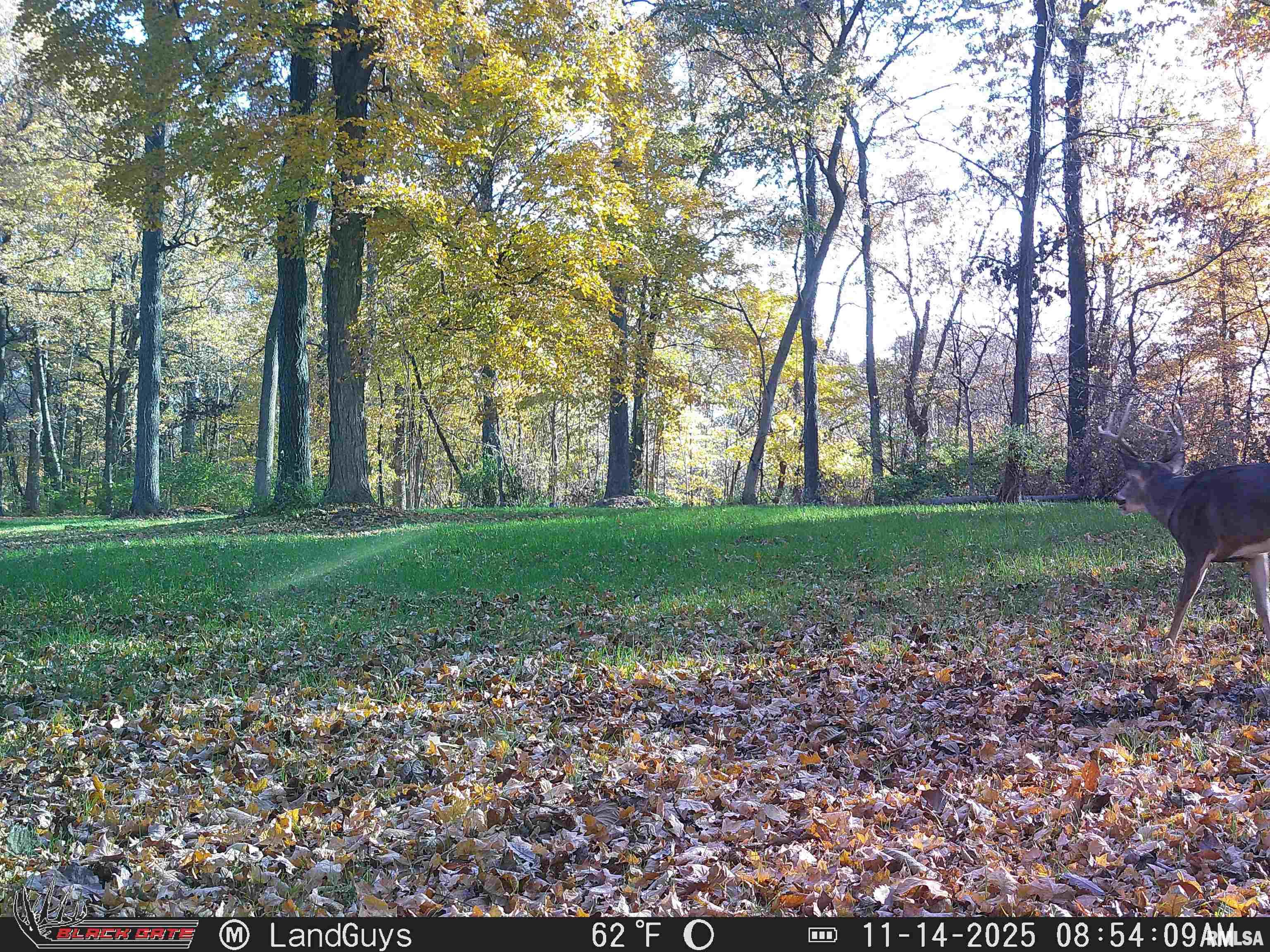 0 Eldred Road Fieldon, IL 62031 - Photo 68 of 76