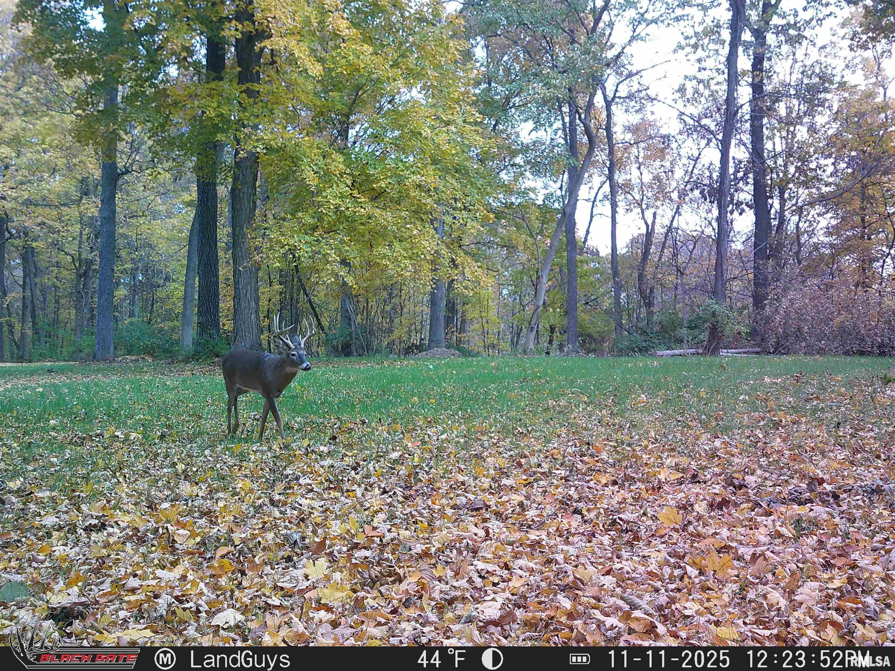 0 Eldred Road Fieldon, IL 62031 - Photo 69 of 76