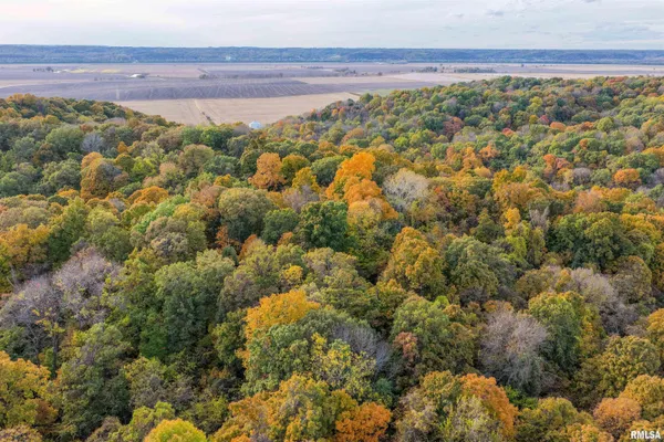 $1,274,000 | 0 Eldred Road, Fieldon, IL 62031