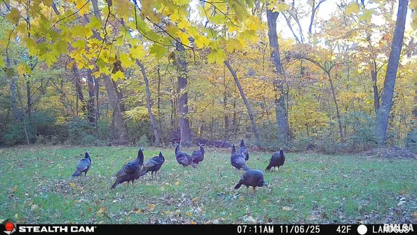 $1,274,000 | 0 Eldred Road, Fieldon, IL 62031