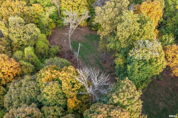 $1,274,000 | 0 Eldred Road, Fieldon, IL 62031