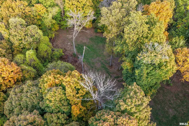 $1,347,500 | 0 Eldred Road, Fieldon, IL 62031