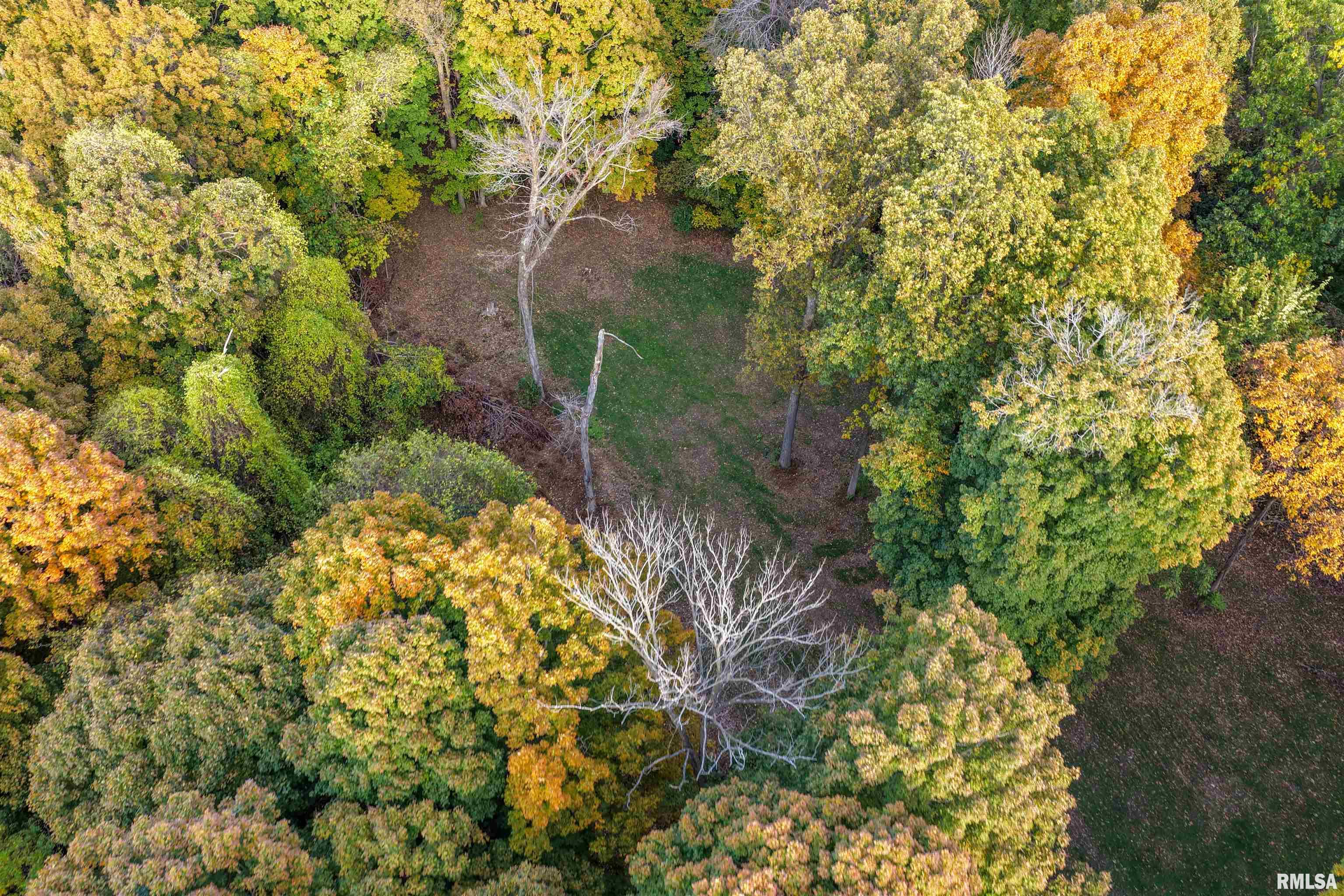 0 Eldred Road Fieldon, IL 62031 - Photo 9 of 76