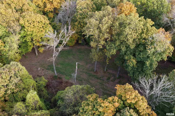 $1,274,000 | 0 Eldred Road, Fieldon, IL 62031