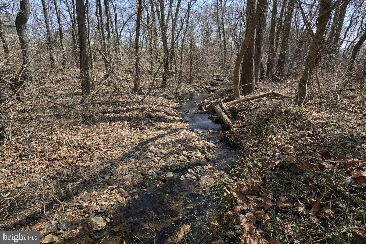 1813 Greysens Ferry Court Point of Rocks, MD 21777 - Photo 54 of 74