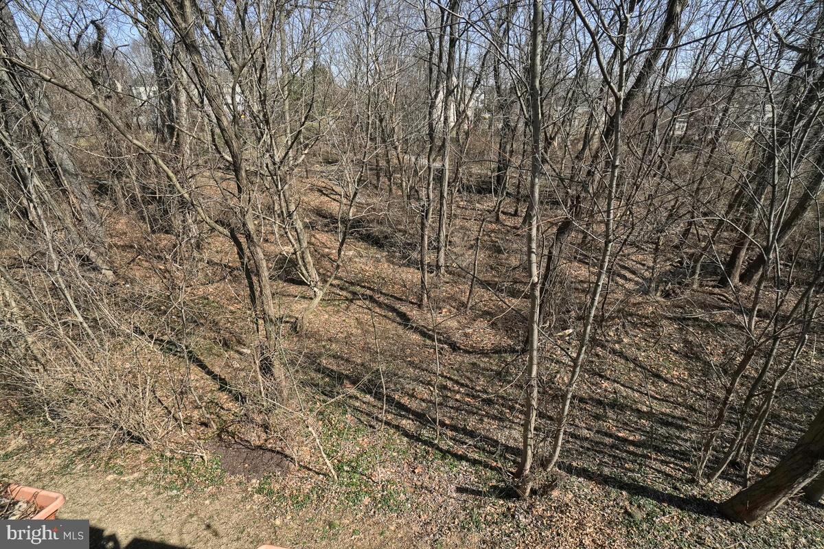 1813 Greysens Ferry Court Point of Rocks, MD 21777 - Photo 56 of 74