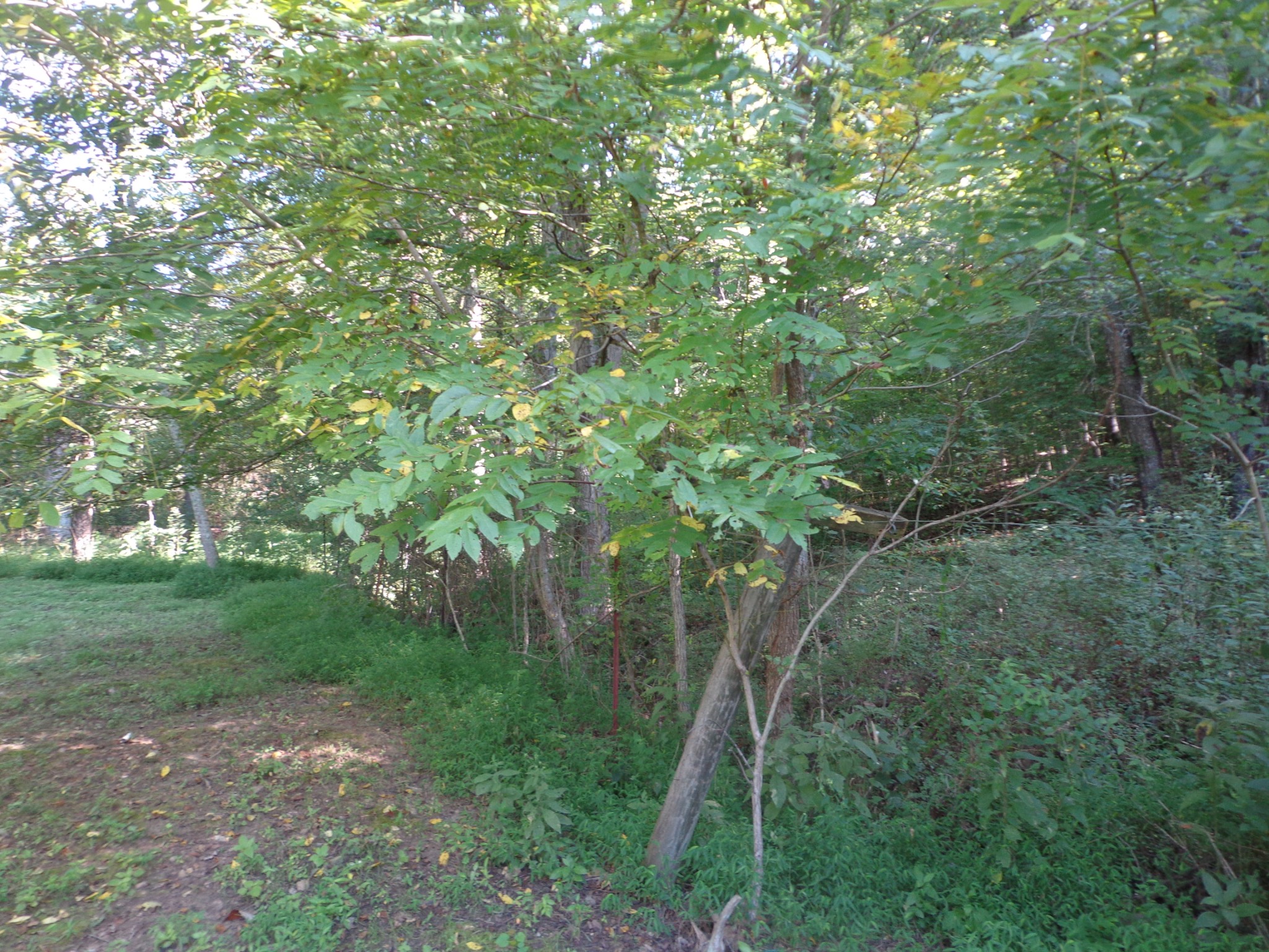 5114 Tennessee Ridge Road Waverly, TN 37185 - Photo 28 of 59 Gallery Image 28