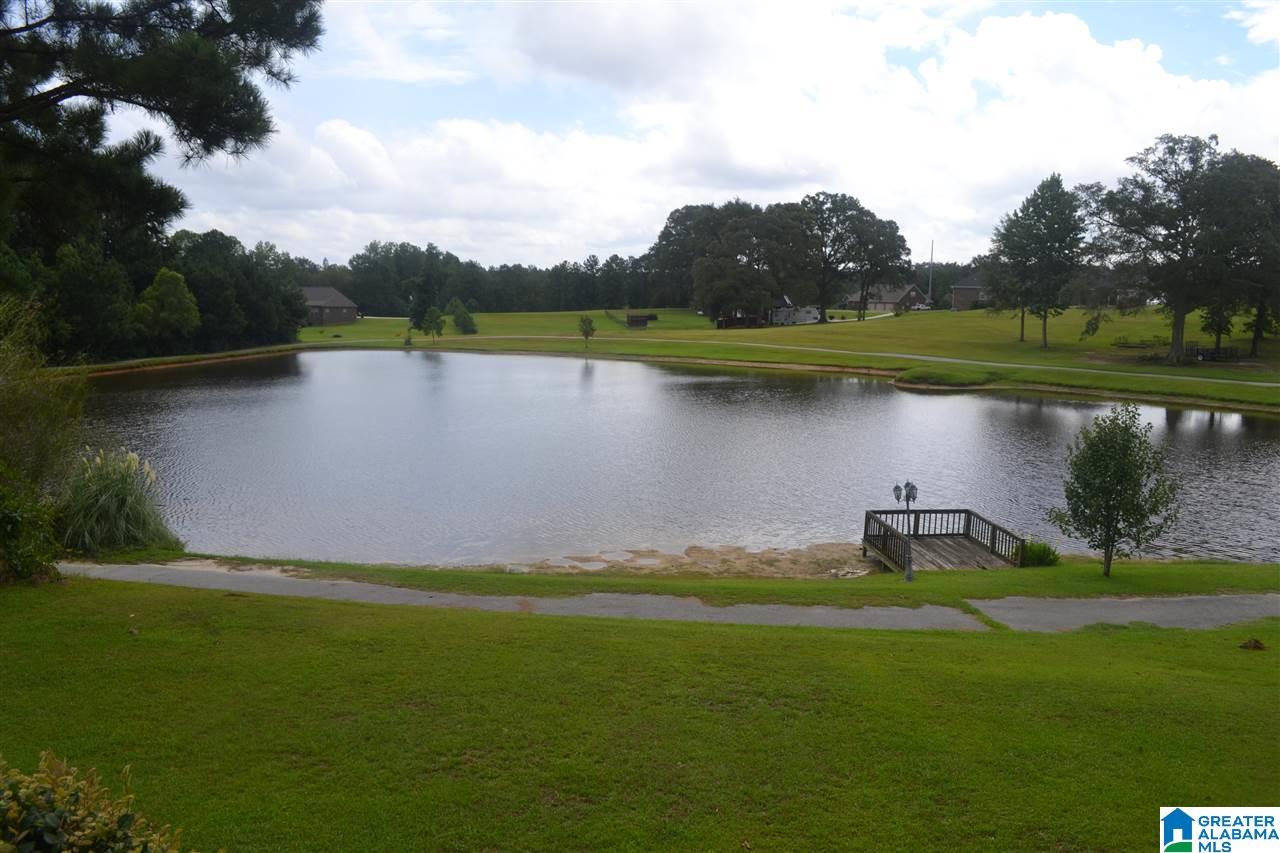 40 County Road 862 Clanton, AL 35045 - Photo 26 of 27