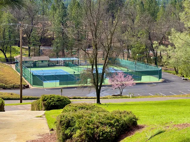 a view of swimming pool with a wooden fence