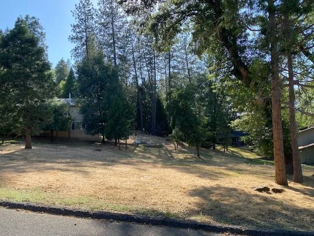 a view of a yard with a tree