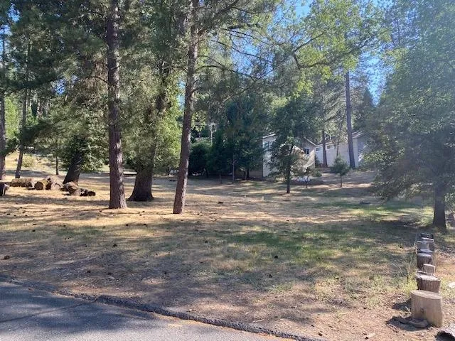 a view of road with trees