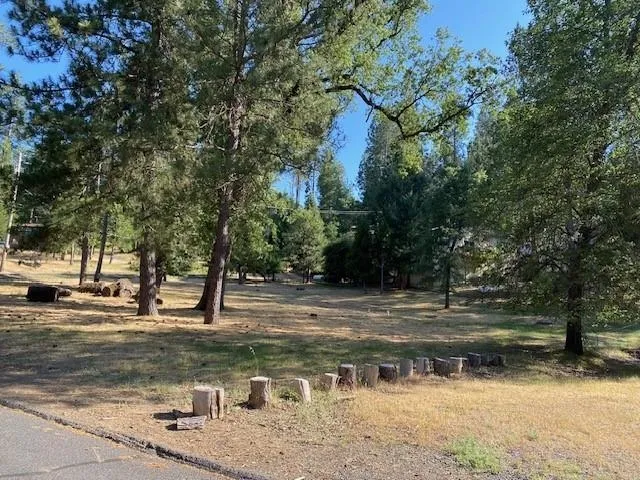 a view of a yard with a house