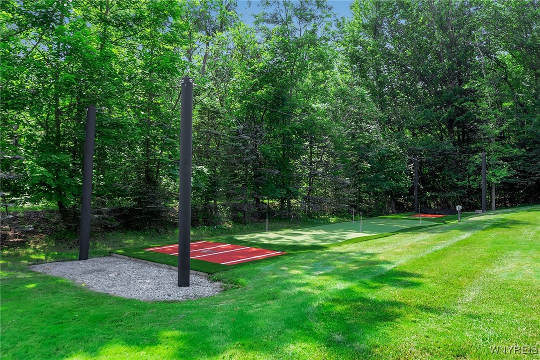 35 Redbrick Road Orchard Park, NY 14127 - Photo 12 of 20 Pitching/Batting/Putting Green