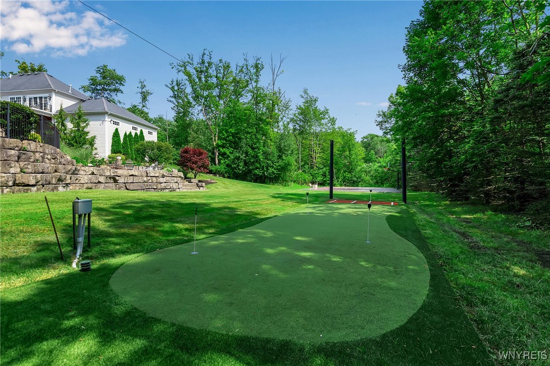 35 Redbrick Road Orchard Park, NY 14127 - Photo 14 of 20 Pitching/Batting/Putting Green