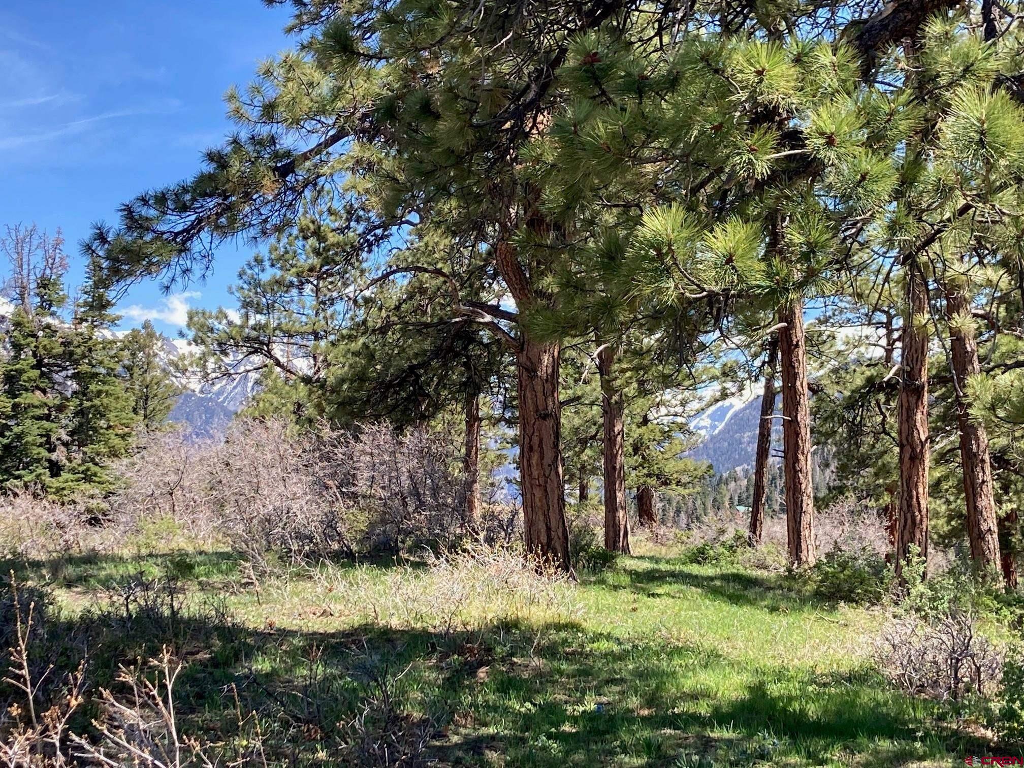 1600-2 Parcels) Elk Ridge Trail, Unit PARK ESTATES LOTS 4 AND 9 Ridgway, CO 81432 - Photo 29 of 40