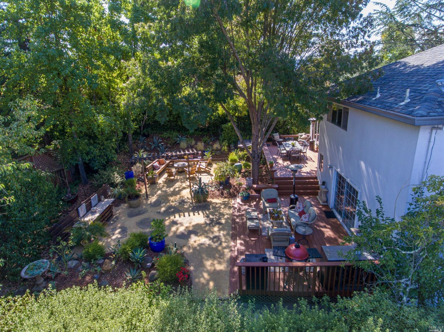 a view of a yard with plants and large trees