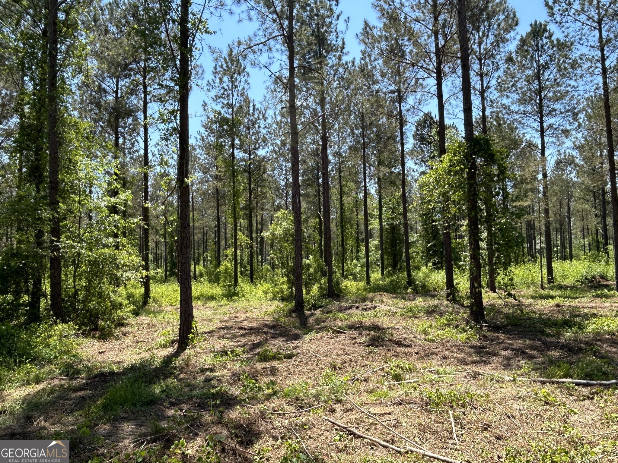 0 Springhaven Road, Unit LOT 18 Dexter, GA 31019 - Photo 11 of 14 a view of park
