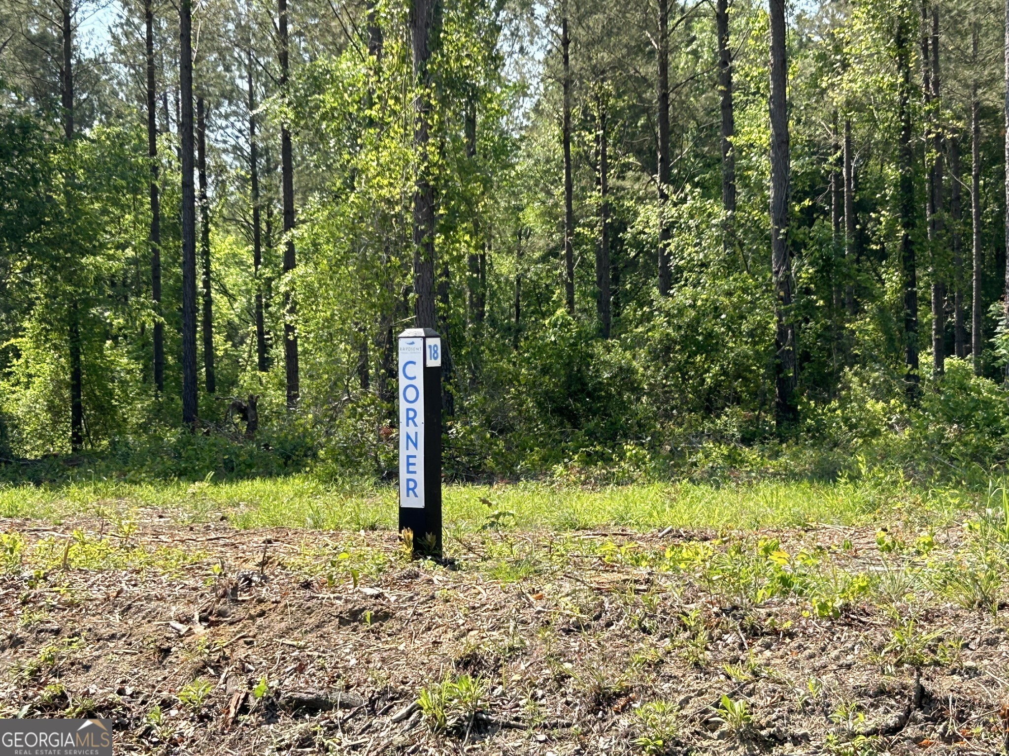 0 Springhaven Road, Unit LOT 18 Dexter, GA 31019 - Photo 13 of 14 a fire hydrant in the middle of a forest