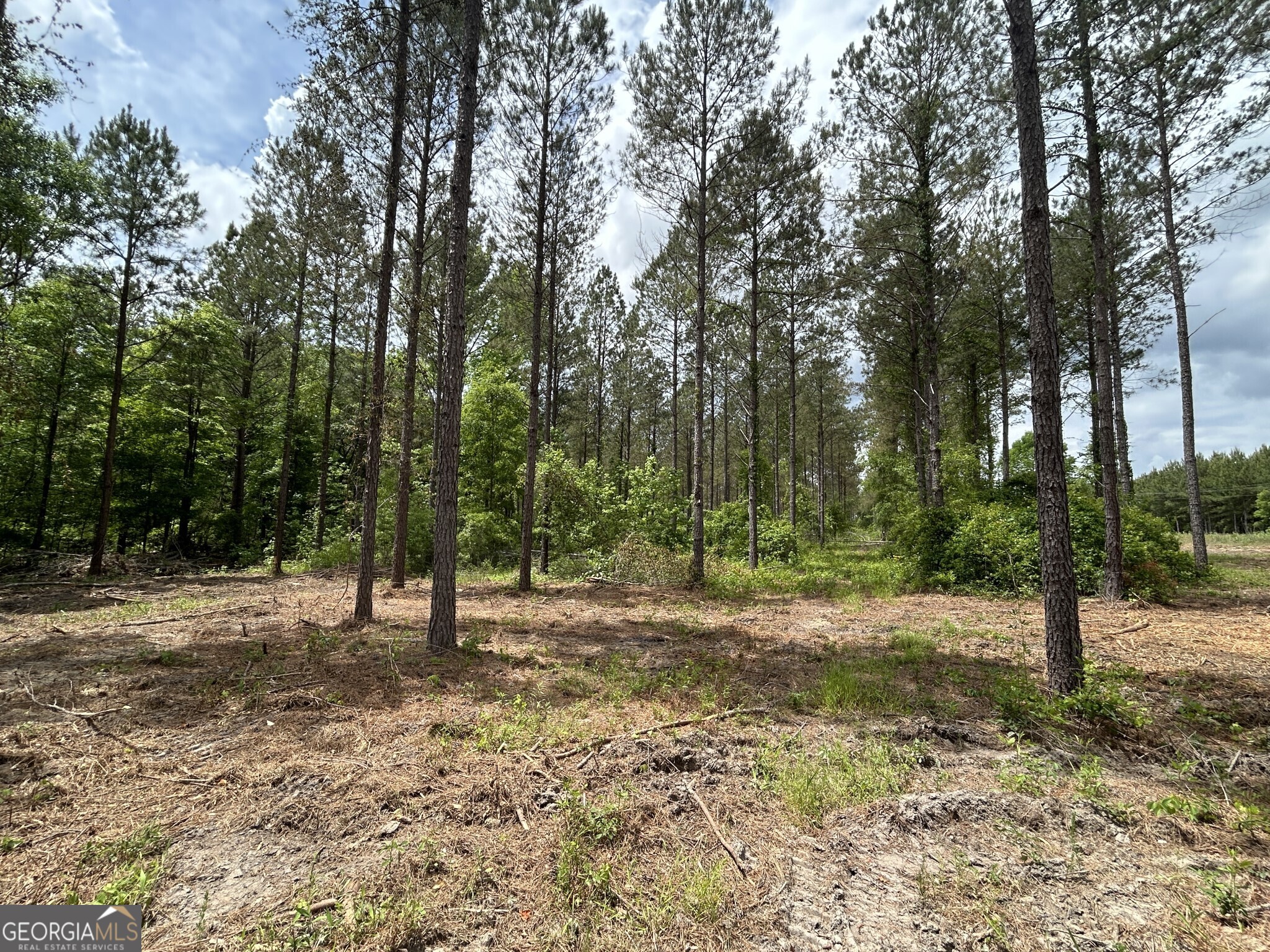 0 Springhaven Road, Unit LOT 18 Dexter, GA 31019 - Photo 3 of 14 a view of outdoor space with trees