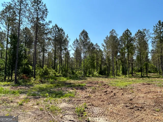 a big yard with lots of green space and fog