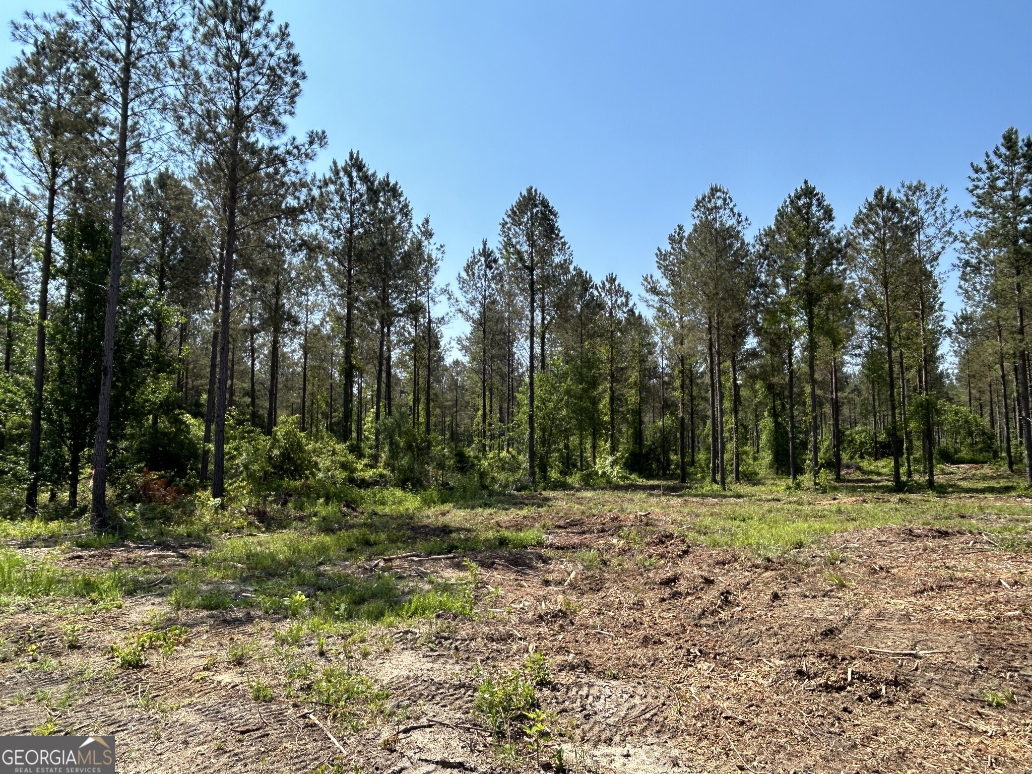 0 Springhaven Road, Unit LOT 18 Dexter, GA 31019 - Photo 4 of 14 a big yard with lots of green space and fog