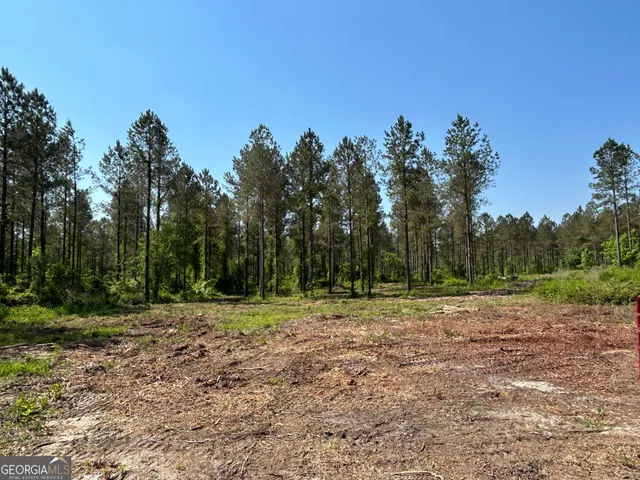 a view of a park with trees in the background