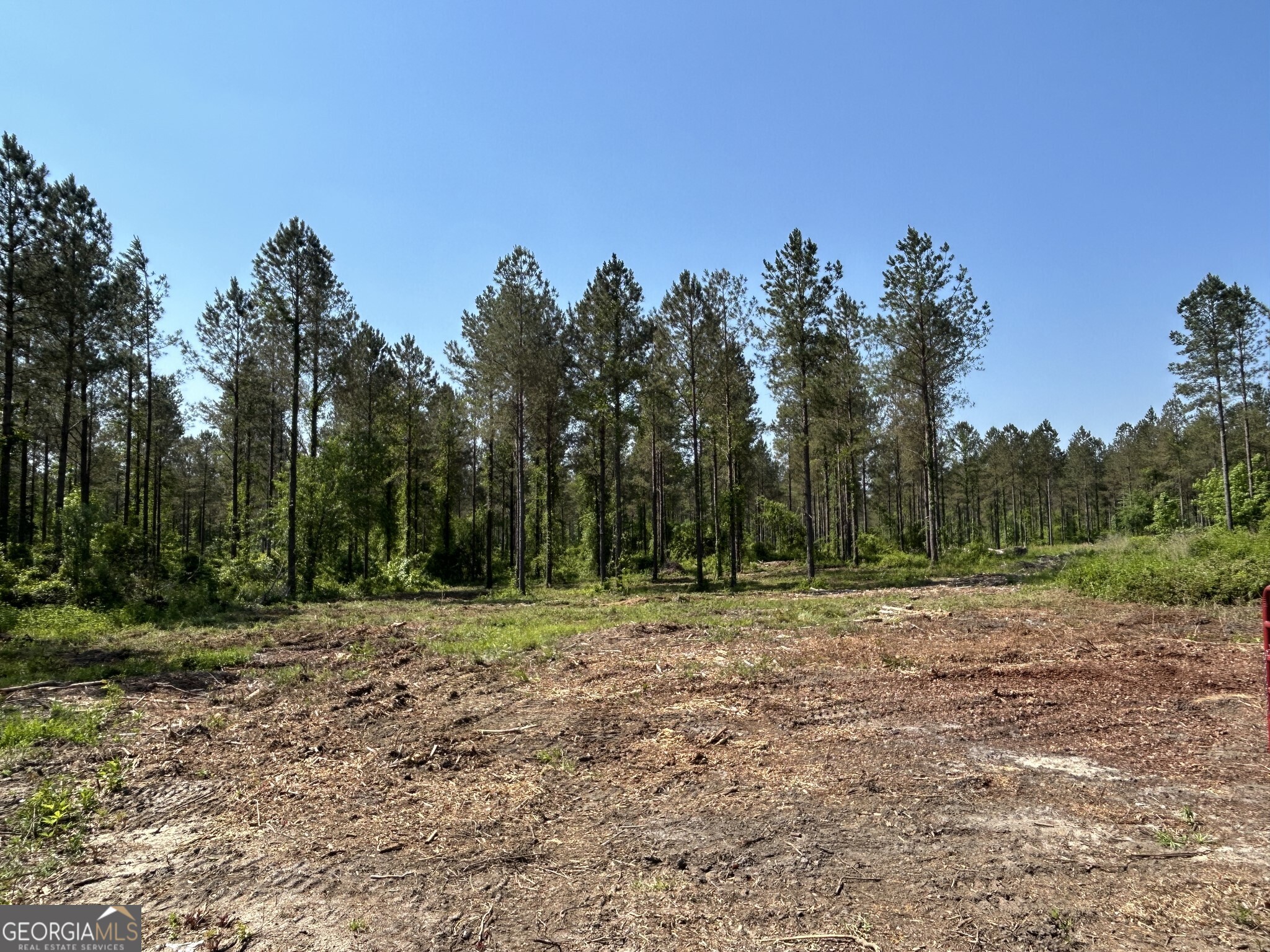 0 Springhaven Road, Unit LOT 18 Dexter, GA 31019 - Photo 5 of 14 a view of a park with trees in the background