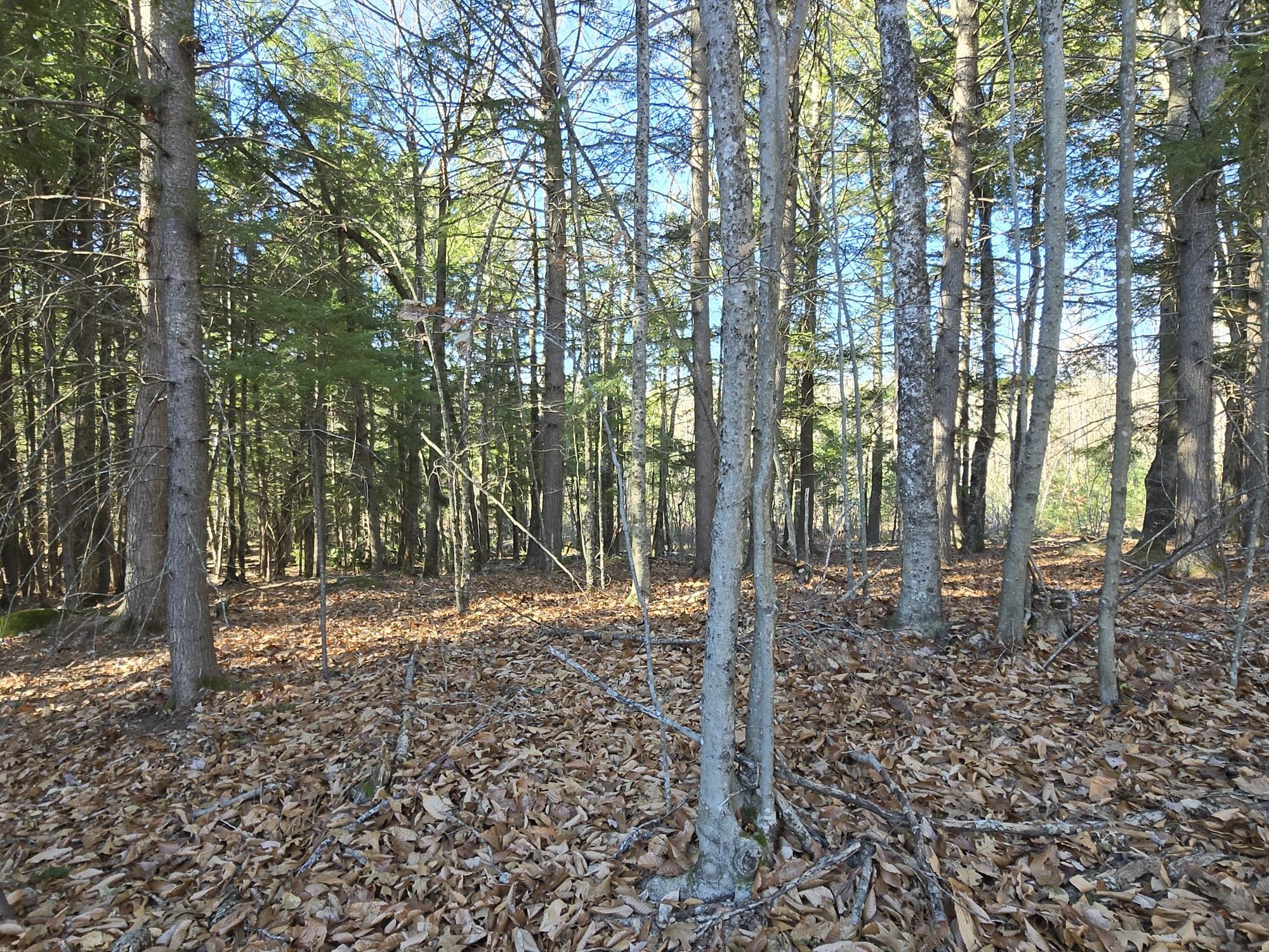 29 Hawk Ridge Road Harrison, ME 04040 - Photo 4 of 7 4