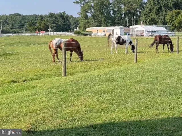 a view of yard in front of house