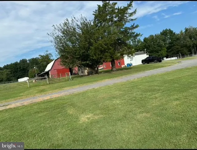 a view of a park with large trees