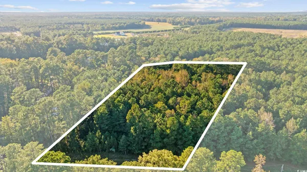 $60,000 | Tbd Mahalia Drive, Conway, SC 29527