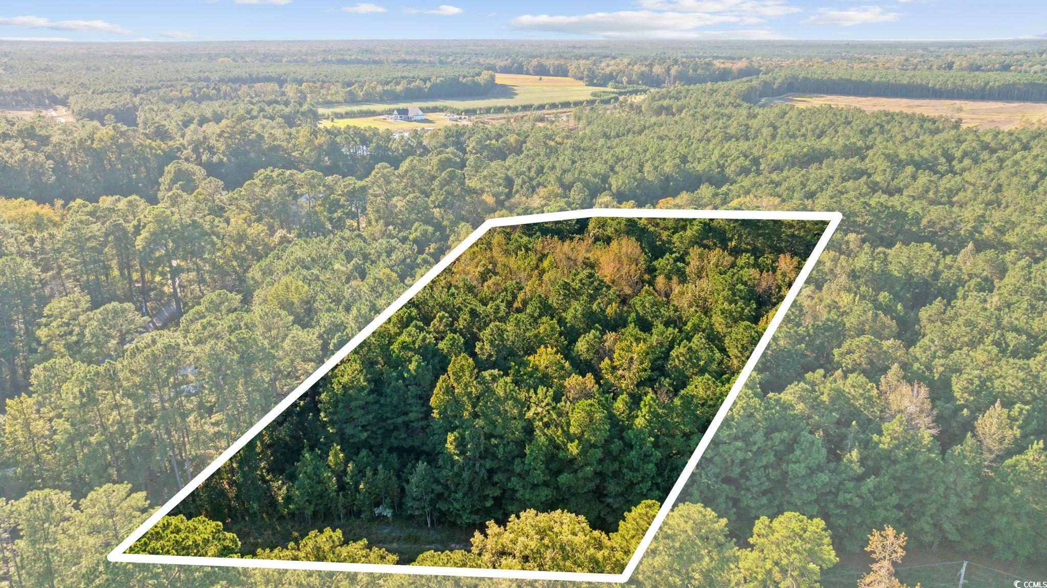 Tbd Mahalia Drive Conway, SC 29527 - Photo 11 of 21