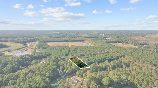 $60,000 | Tbd Mahalia Drive, Conway, SC 29527