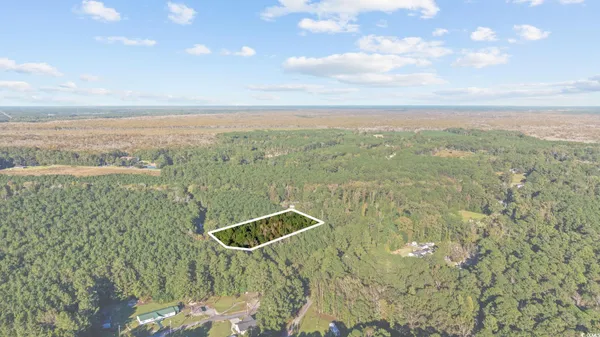 $60,000 | Tbd Mahalia Drive, Conway, SC 29527