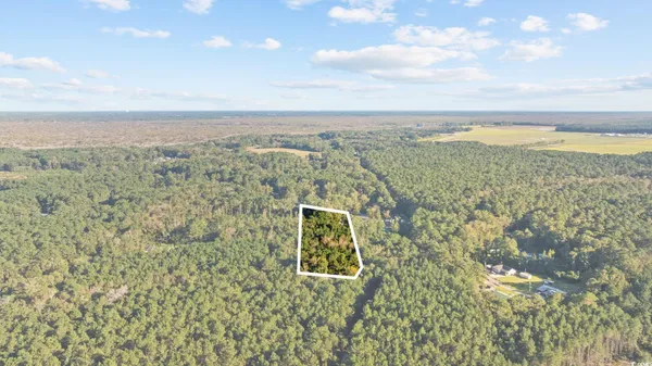 $60,000 | Tbd Mahalia Drive, Conway, SC 29527