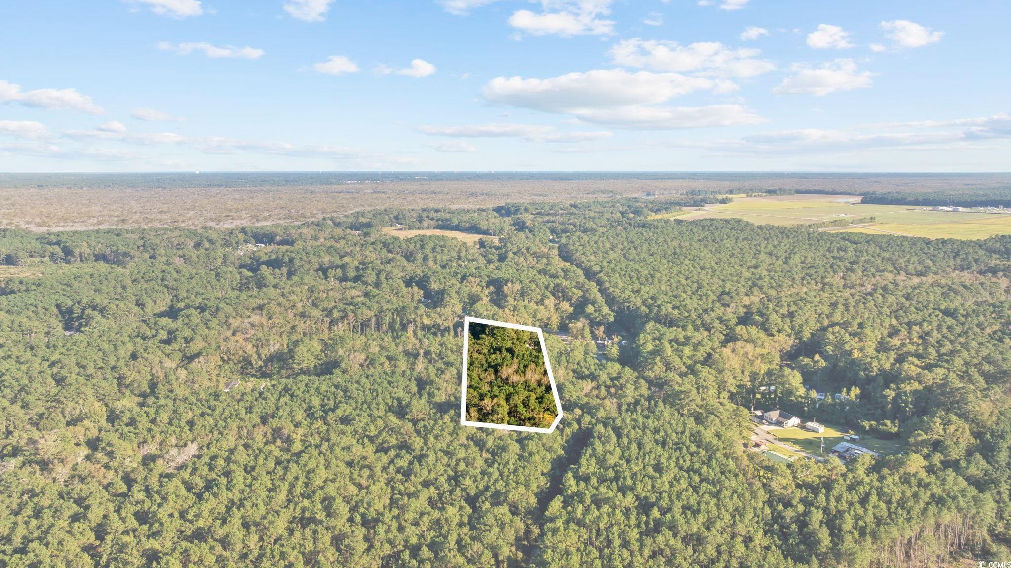 Tbd Mahalia Drive Conway, SC 29527 - Photo 15 of 21