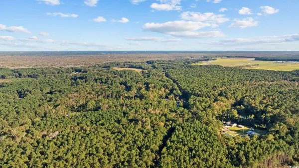 $60,000 | Tbd Mahalia Drive, Conway, SC 29527