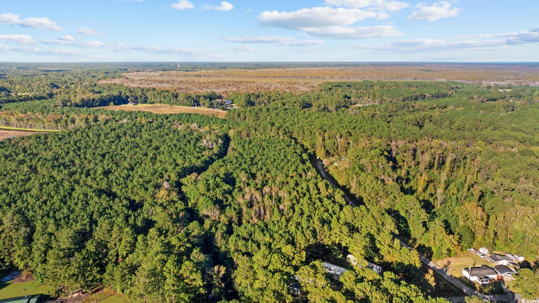 Tbd Mahalia Drive Conway, SC 29527 - Photo 19 of 21