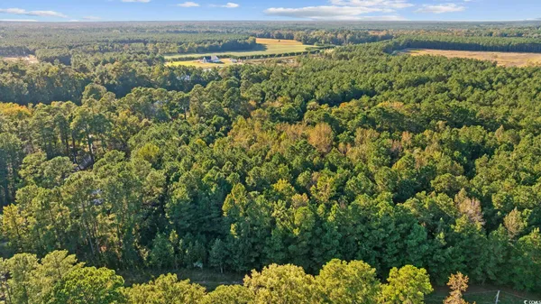 $60,000 | Tbd Mahalia Drive, Conway, SC 29527