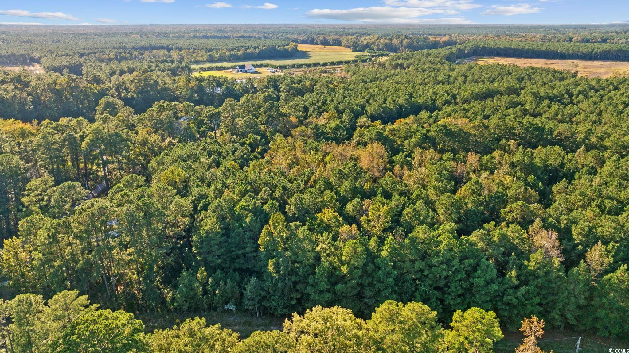 Tbd Mahalia Drive Conway, SC 29527 - Photo 20 of 21