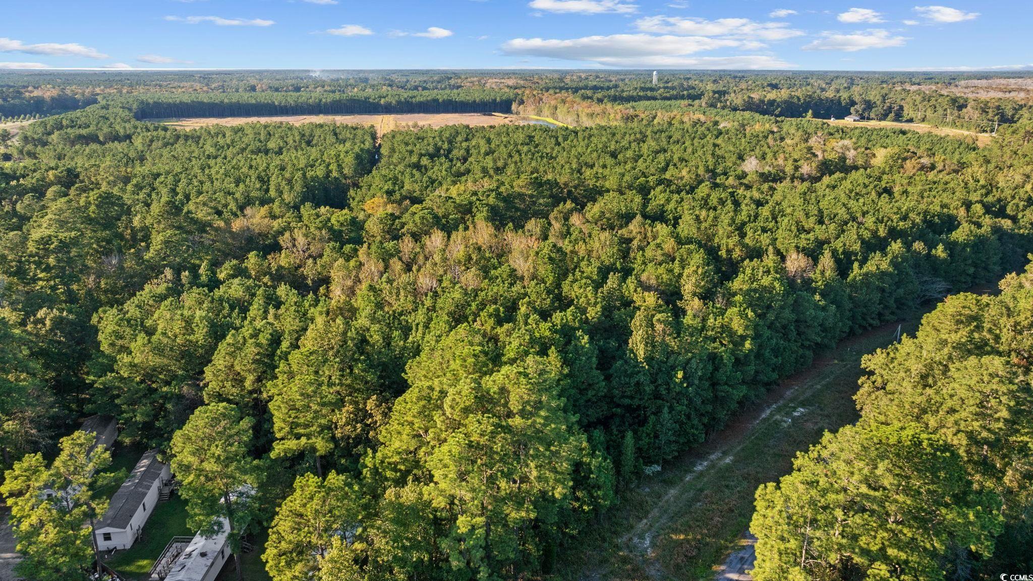 Tbd Mahalia Drive Conway, SC 29527 - Photo 21 of 21